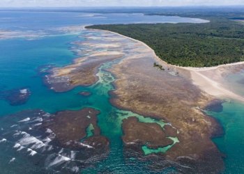 Empreendimento é de responsabilidade da empresa Mangaba Cultivo de Coco Ltda