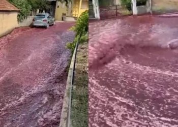 Cidade portuguesa é inundada por ‘rio’ de vinho tinto após depósito estourar