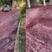 Cidade portuguesa é inundada por ‘rio’ de vinho tinto após depósito estourar