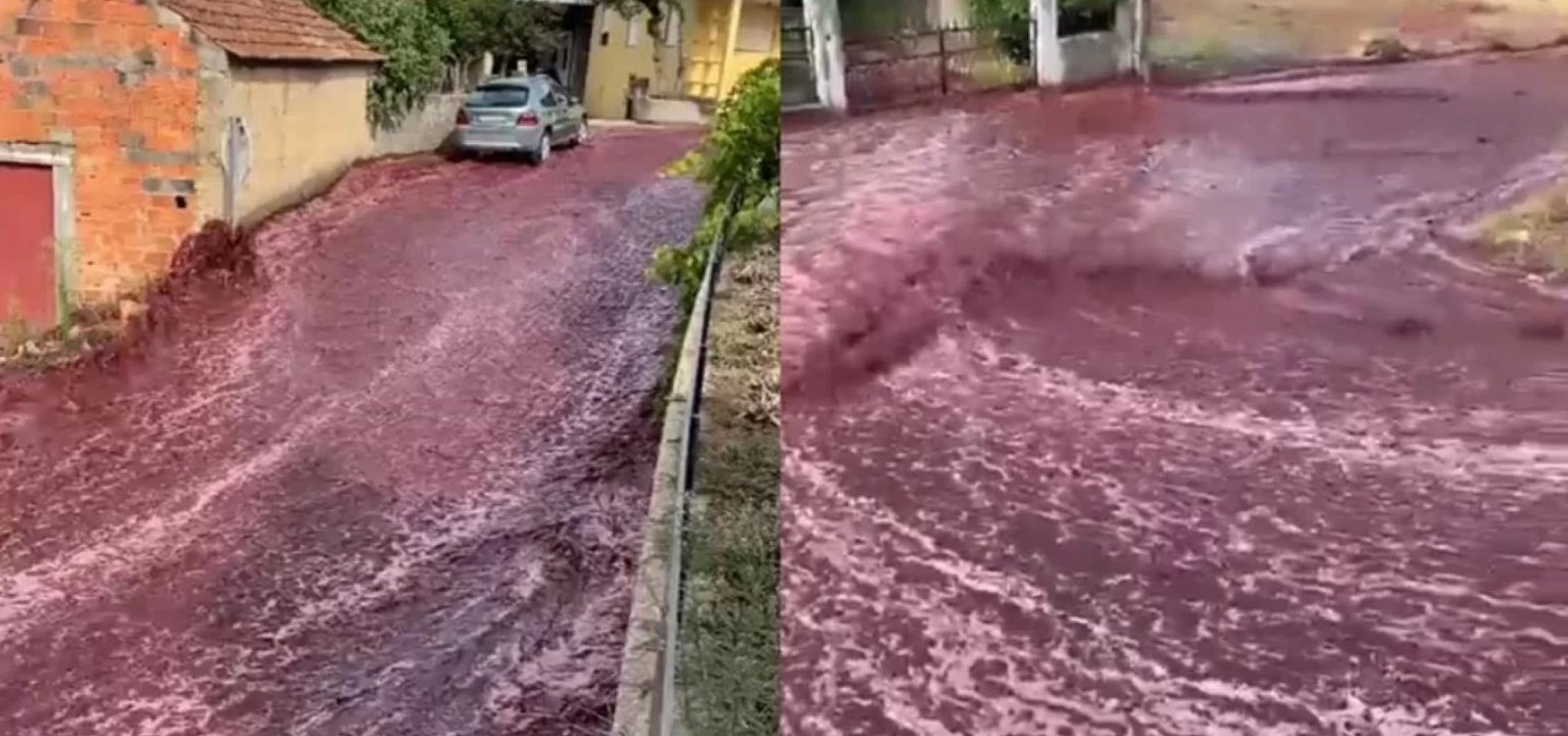 Cidade portuguesa é inundada por ‘rio’ de vinho tinto após depósito estourar