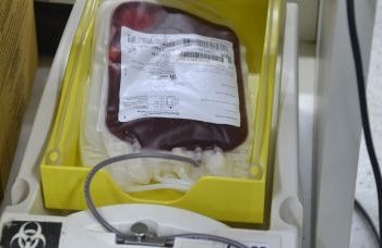 App que incentiva doação de sangue já pode ser baixado