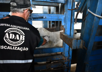 Jerônimo anuncia concurso com 160 vagas para agrônomos e veterinários