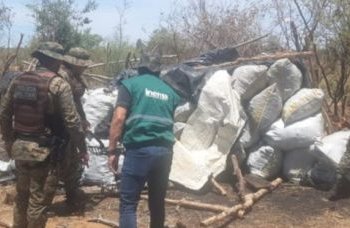 Operação apreende 2,5 toneladas de carvão vegetal e resgata mais de 100 aves