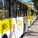 Novas linhas de ônibus são criadas em Salvador; confira