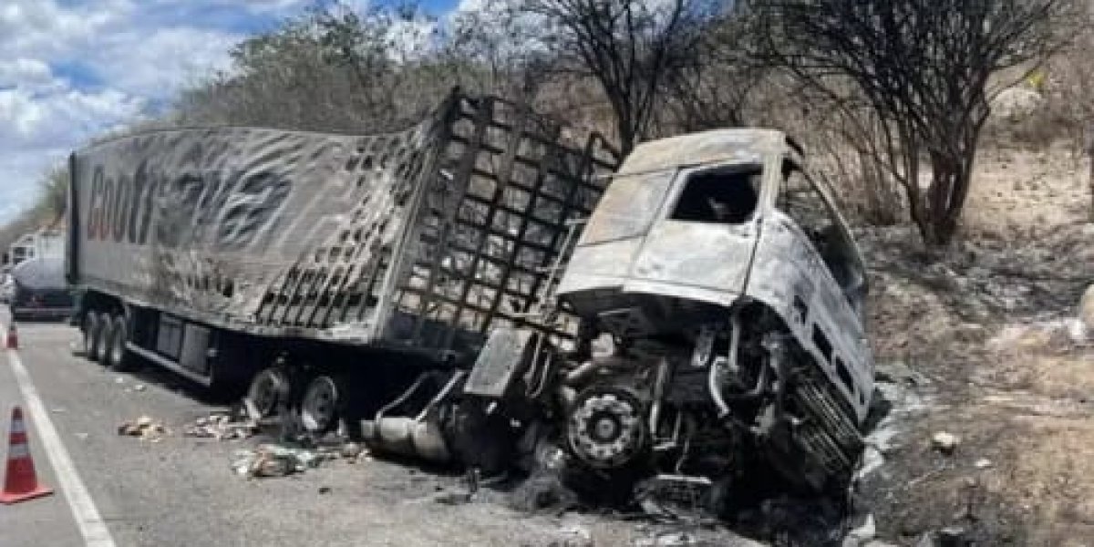 Cantor de forró e empresário morrem em acidente entre carro e caminhão na BR-116