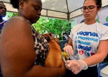 Secis realiza mutirão para aplicação da vacina V10 em Salvador