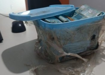 Aposentado encontra pote de sorvete com dinheiro ao limpar terreno