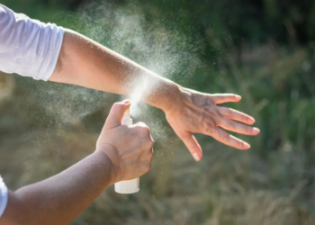 Prevenção da Dengue: veja quais os repelentes ideais contra o mosquito