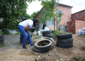 Conquista, Feira e Salvador lideram ranking de casos de Dengue