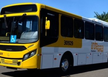 Ônibus voltam a circular no final de linha de Valéria