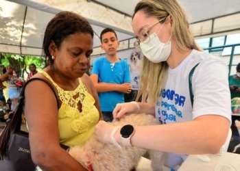 Vacina V10 para cães é ofertada em Salvador