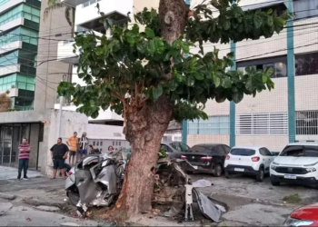 Cinco pessoas morrem após carro sair da pista e bater em árvore