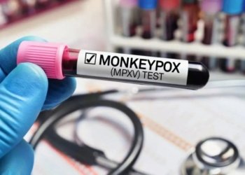 Diretor europeu da OMS alerta que Mpox não é uma ‘nova Covid-19’