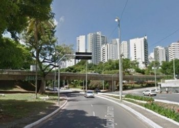 Árvore cai e bloqueia acesso à ladeira no Vale do Canela