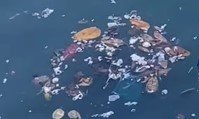 Moradores denunciam lixo no mar da Cidade Baixa; veja o que diz a Limpurb
