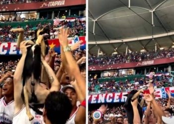 Cachorro ‘comemora’ triunfo do Bahia nos braços da torcida na Fonte Nova; veja vídeo