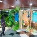 Biblioteca Central de Salvador recebe exposição ‘Biomas da Bahia’