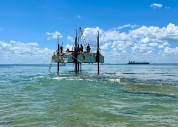 Inema autoriza manejo de fauna para obra da ponte Salvador-Itaparica; veja o que é permitido