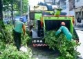 Salvador conta com primeira máquina trituradora de podas para reciclagem orgânica