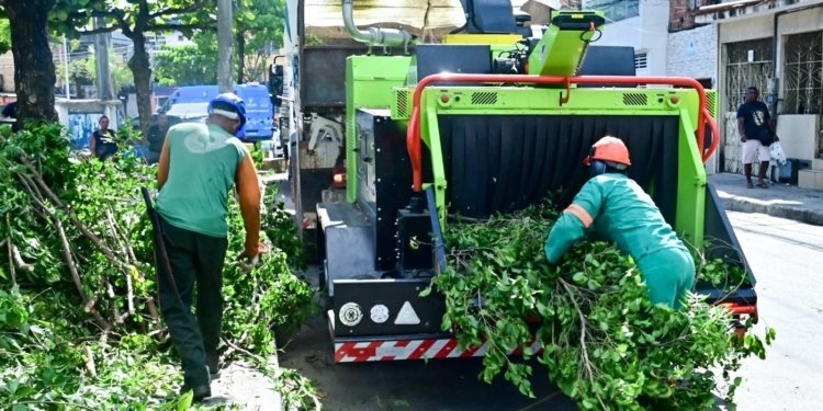 Salvador conta com primeira máquina trituradora de podas para reciclagem orgânica