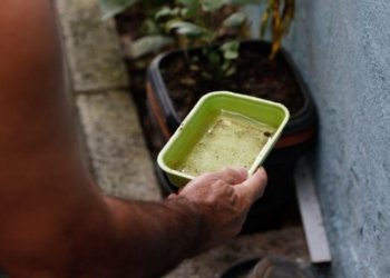 Bahia registra queda de 41% nos casos de dengue em 2026