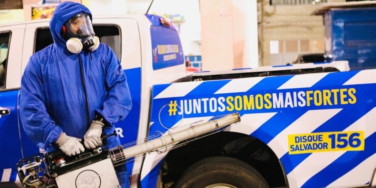 Prefeitura intensifica combate à dengue com fumacê em Salvador; confira os bairros