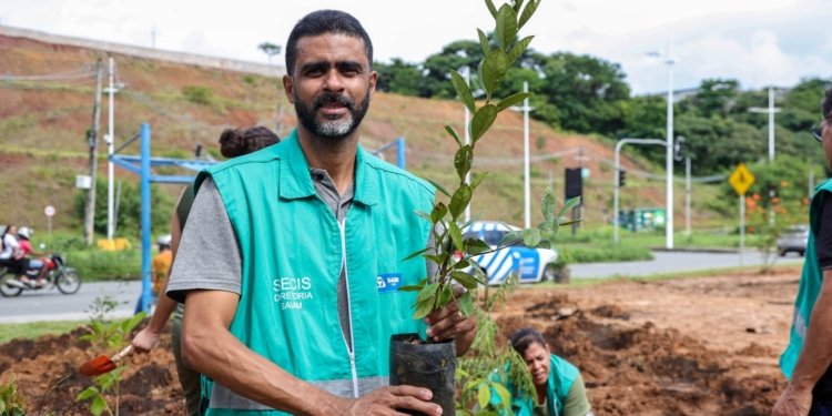 Salvador ganha primeira microfloresta urbana com mais de 1 mil mudas plantadas entre as avenidas Gal Costa e Jayme Figura